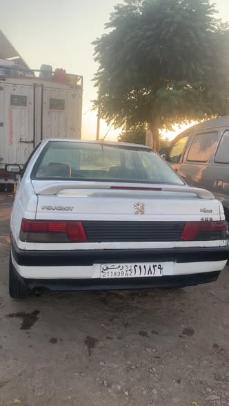 بيجو روى 2005 - صورة 2