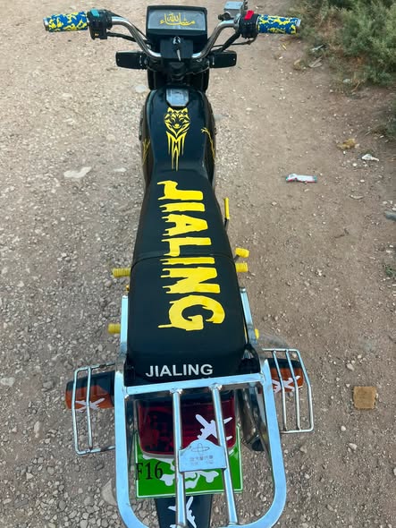 جالينغ JH125 2010 - صورة 4