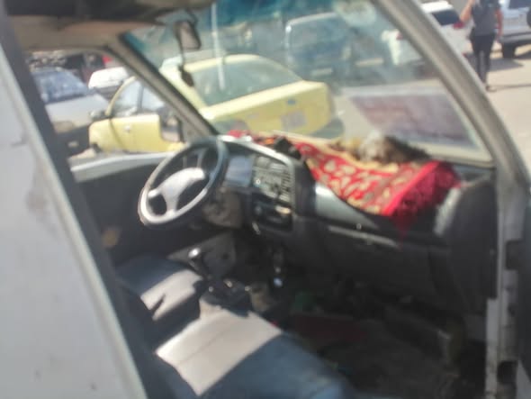 فاو بيك 2006 - صورة 3