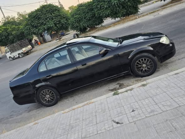 شيري غوصة 2004 - صورة 2