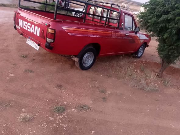 نيسان بيكاب 1993 - صورة 2