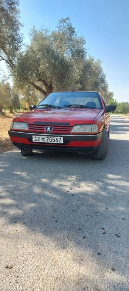 بيجو 405 1993 - صورة 1