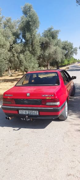 بيجو 405 1993 - صورة 5