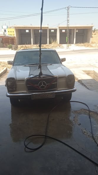 مرسيدس 230 1979 - صورة 4