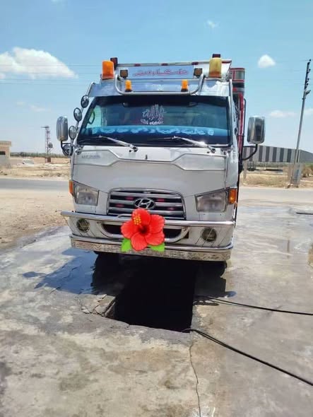 هيونداي HD72 2019 - صورة 2