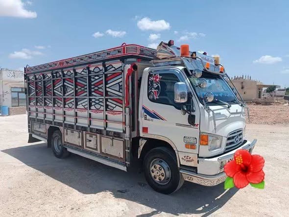 هيونداي HD72 2019 - صورة 4