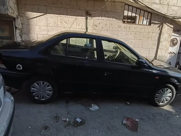 شام شام 2009 - صورة 1