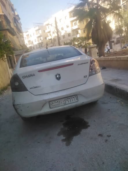 شانا سي في 8 2009 - صورة 1