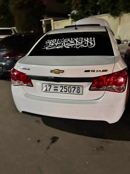 شفر كروز 2011 - صورة 2