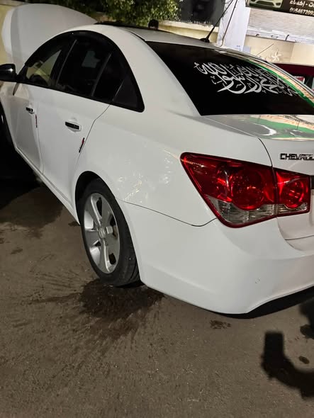 شفر كروز 2011 - صورة 3