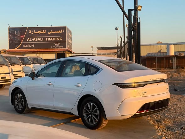 بي واي دي ديستروير 2025 - صورة 3
