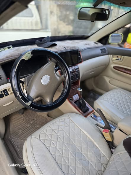 بي واي دي F3 2010 - صورة 4