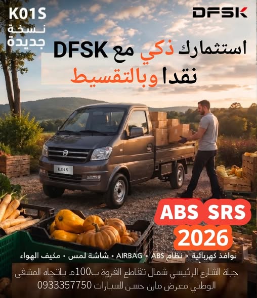 دي اف اس كيه K01S 2026