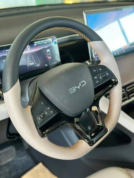 بي واي دي سيليون 5 2026 - صورة 3