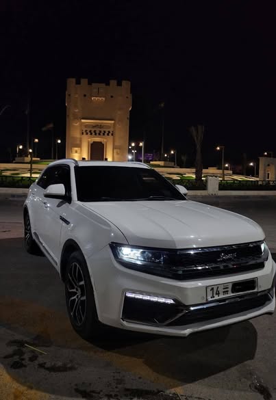دومي X7 2020 - صورة 1