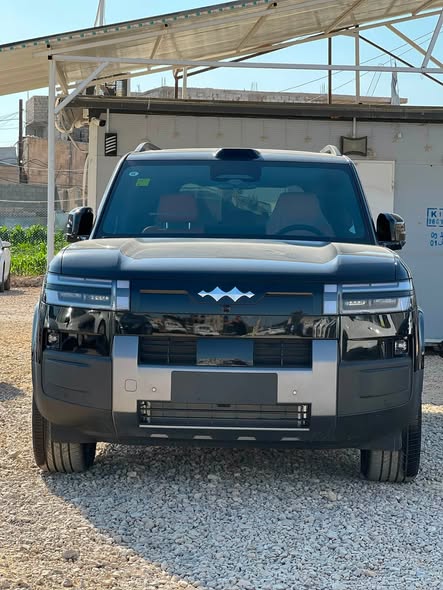 بي واي دي ليوبارد 7 2026 - صورة 1