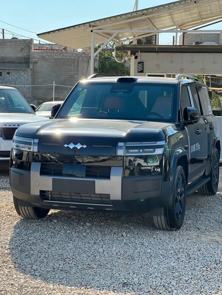 بي واي دي ليوبارد 7 2026 - صورة 2