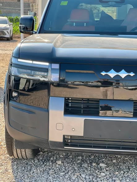 بي واي دي ليوبارد 7 2026 - صورة 5