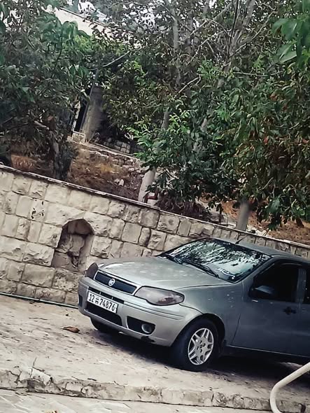 فيات سيينا 2006 - صورة 2
