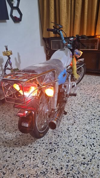 لونسن F16 2025 - صورة 3
