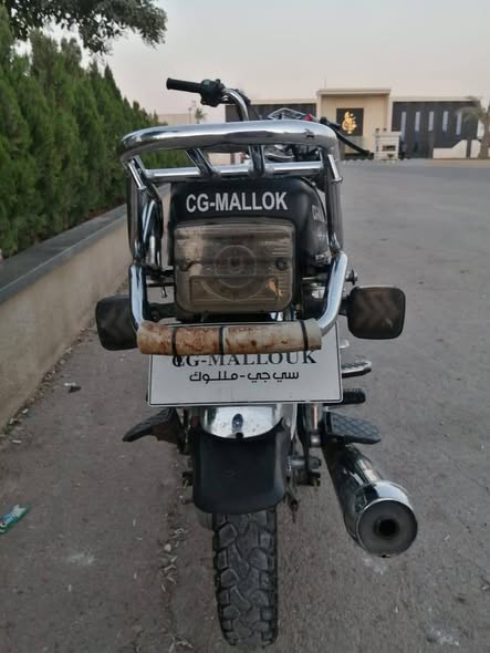 سجي ملوك سجي ملوك 2026 - صورة 2
