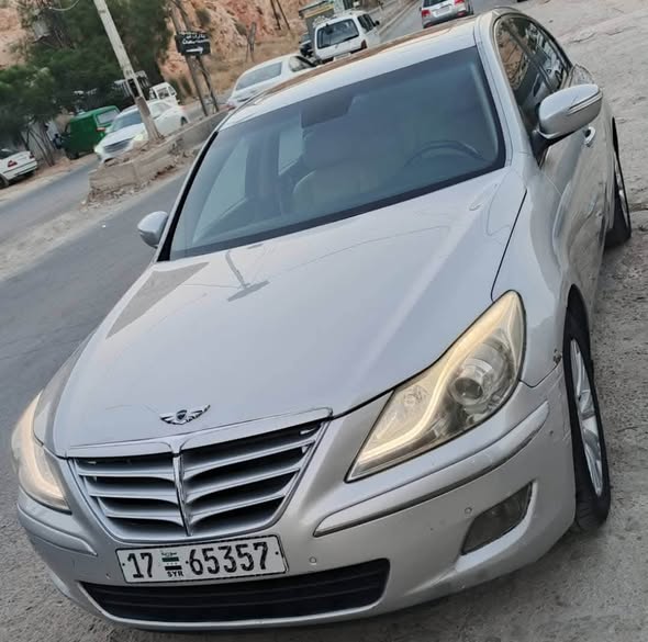 جينسس جينسس 2010 - صورة 1