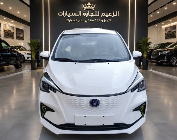 شانجان اي ستار 2024 - صورة 1
