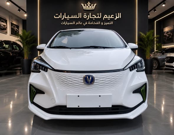 شانجان اي ستار 2024 - صورة 2