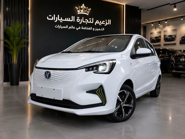 شانجان اي ستار 2024 - صورة 3