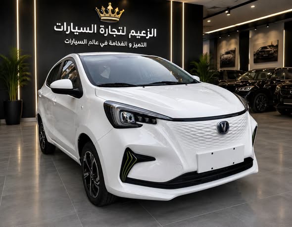 شانجان اي ستار 2024 - صورة 4