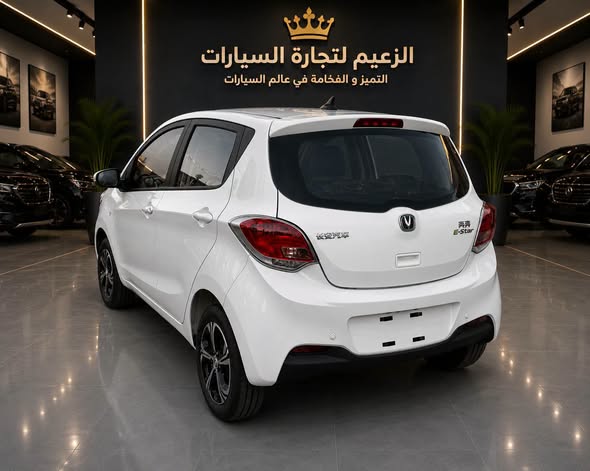 شانجان اي ستار 2024 - صورة 5