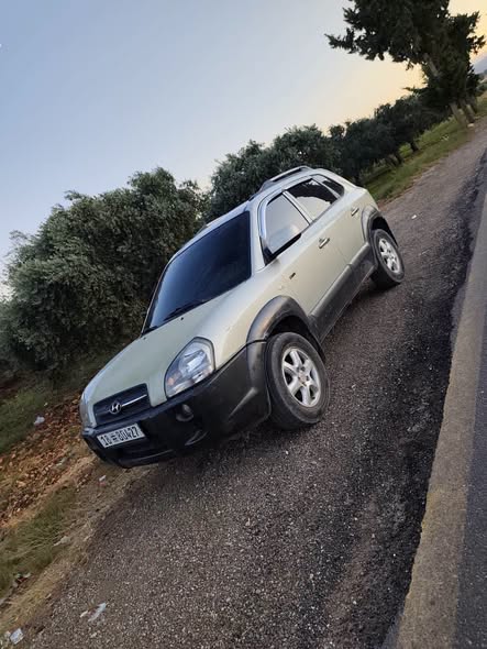 هيونداي توسان 2005 - صورة 4