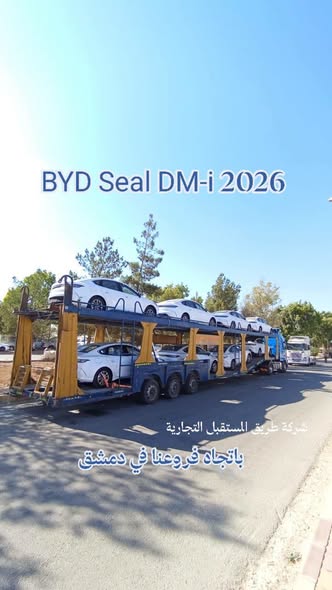 بي واي دي سيل 2026 - صورة 1