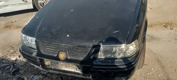 شام شام 2010 - صورة 3