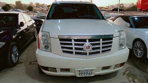 كديلاك اسكاليد 2011 - صورة 3