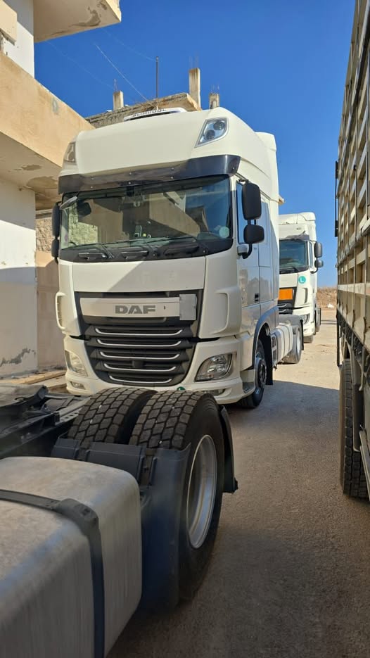 داف 600 2017