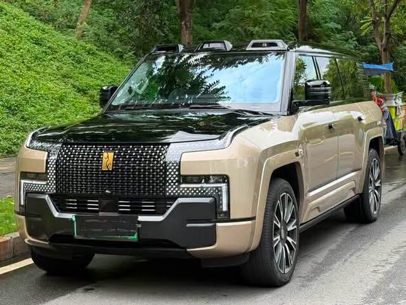 يانغ وانغ U8L 2025 - صورة 1