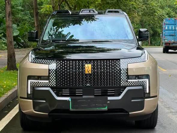 يانغ وانغ U8L 2025 - صورة 2