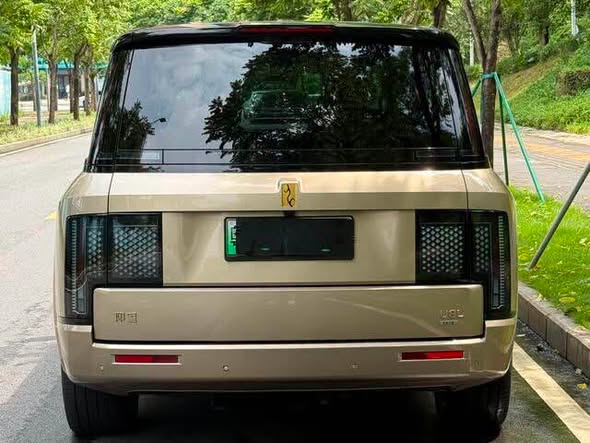 يانغ وانغ U8L 2025 - صورة 5