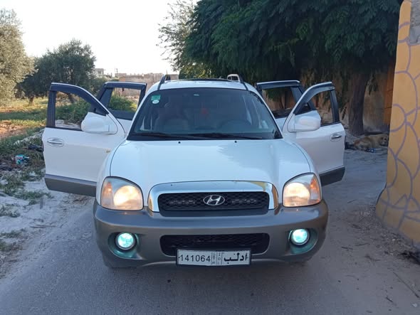هيونداي سنتافي 2005 - صورة 2