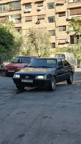 بيجو 405 1993 - صورة 1