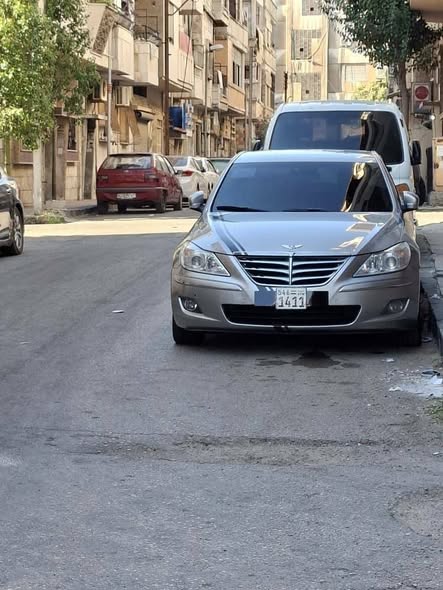 جينسس جينسس 2010 - صورة 1
