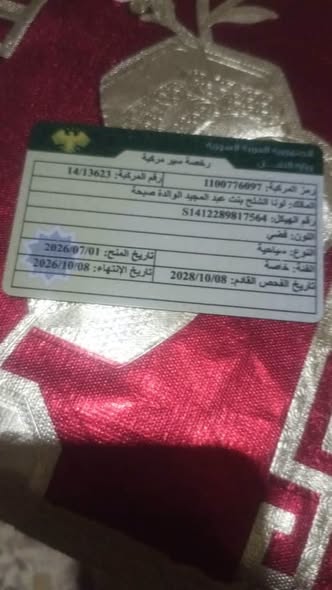 سايبا سابا 2011 - صورة 5