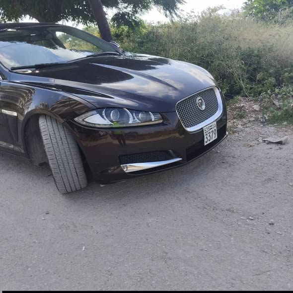جاكوار اكس اف 2015 - صورة 1