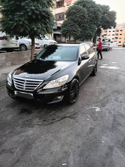 جنسس جنسس 2011