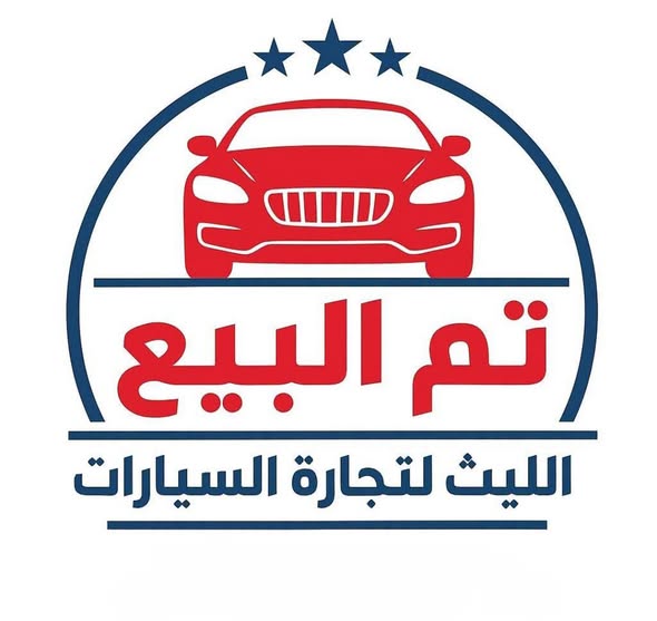 هيونداي النترا 2010 - صورة 4