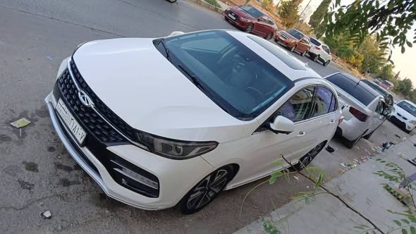 شيري أريزو 6 2020 - صورة 2