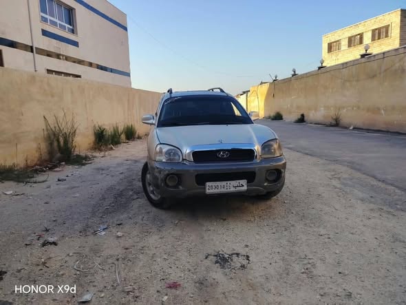 هيونداي سانتافي 2003 - صورة 1