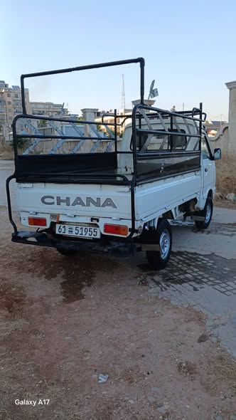 شانا قطة 2006 - صورة 5