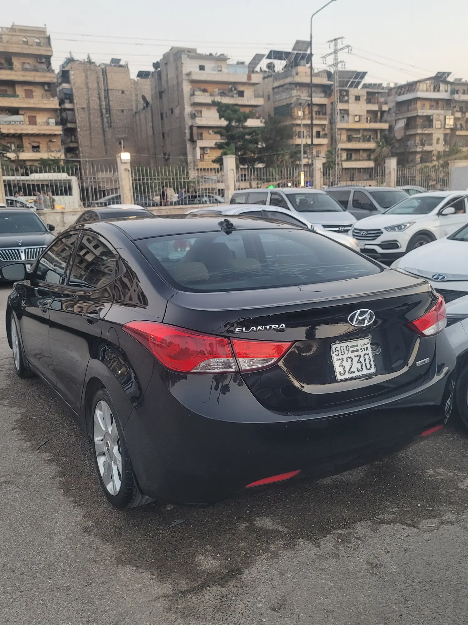 النترا 2013 - صورة 2